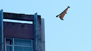 Bei seinen Luftangriffen auf ukrainische Städte setzt Russland zahllose Drohnen ein. (Archivbild)