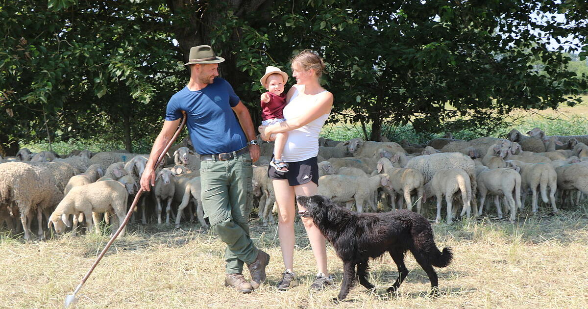 Tobias Vögerl from Niederwinkling is an eighth-generation shepherd