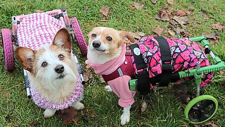 „Sie sind zwei Herzen und eine Seele“, sagt die Monika Müller über Dascha und Indi.