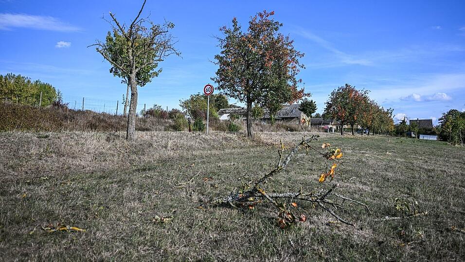 Vor dem Absturz hatte es einen Baum gestreift. Vor dem Absturz hatte es einen Baum gestreift.