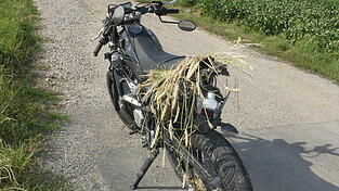 Das Motorrad musste abgeschleppt werden.