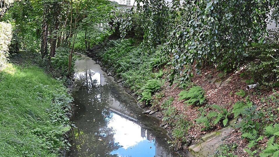 Bei heftigen Regenfällen tritt der Leitersdorfer Bach immer wieder über seine Ufer. Der Auer Marktrat will hier nun das Überschwemmungsgebiet sichern. Bei heftigen Regenfällen tritt der Leitersdorfer Bach immer wieder über seine Ufer. Der Auer Marktrat will hier nun das Überschwemmungsgebiet sichern.