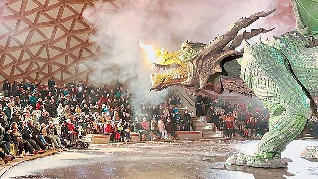 Auge in Auge mit einem Weltrekordhalter: Rund 500 Zuschauer kamen Freitagnacht zur letzten Drachen-Show in die Park-Arena.