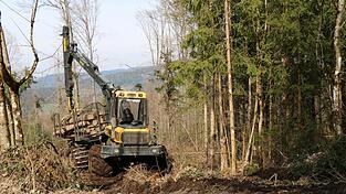 Mit Breitreifen bahnt sich der R&uuml;ckezug seinen Weg durch unwegsames Gel&auml;nde. Katharina muss aufpassen, dass die Maschine nicht umkippt.