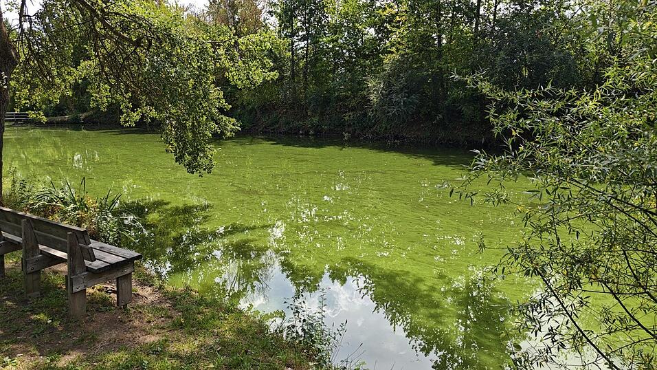 Idyllisch - und aktuell doch gefährlich: der Weiher in Ittling. Idyllisch - und aktuell doch gefährlich: der Weiher in Ittling.