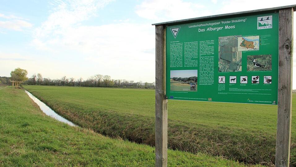 Eines der besonders geschützten Gebiete der Stadt: das Alburger Moos im Landschaftsschutzgebiet Polder Straubing. Eines der besonders geschützten Gebiete der Stadt: das Alburger Moos im Landschaftsschutzgebiet Polder Straubing.