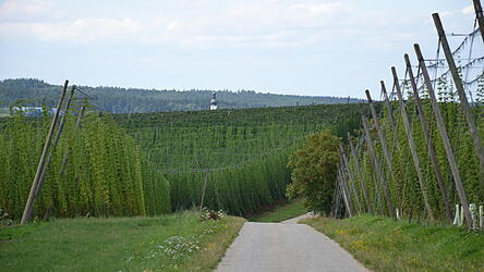 Der bisherige Kelheimer Landrat Martin Neumeyer muss sich diesmal einer Stichwahl stellen. (Symbolbild)