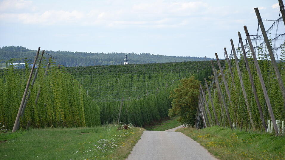 Der bisherige Kelheimer Landrat Martin Neumeyer muss sich diesmal einer Stichwahl stellen. (Symbolbild)