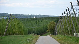 Der bisherige Kelheimer Landrat Martin Neumeyer muss sich diesmal einer Stichwahl stellen. (Symbolbild) Der bisherige Kelheimer Landrat Martin Neumeyer muss sich diesmal einer Stichwahl stellen. (Symbolbild)