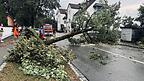 Der Sturm entwurzelte mehrere große Bäume in Moosburg, auch an wichtigen Verkehrsachsen wie der Münchener Straße. Der Sturm entwurzelte mehrere große Bäume in Moosburg, auch an wichtigen Verkehrsachsen wie der Münchener Straße.