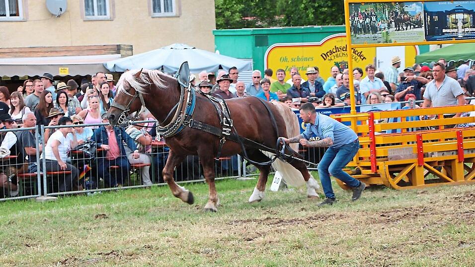 Viele kraftvolle Einzeldurchz&uuml;ge konnten die Zuschauer mitverfolgen. Immer wieder h&ouml;rte man laute 'Wia-Wia'-Rufe.