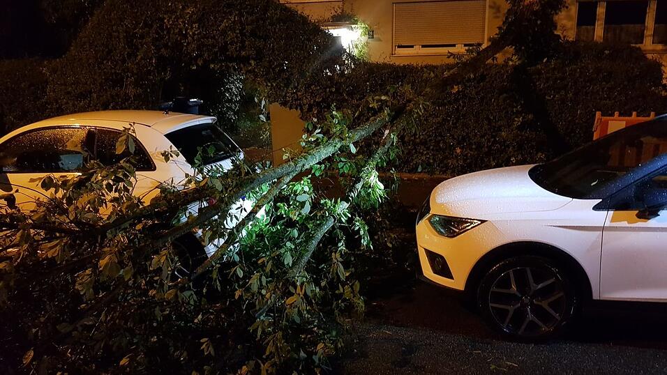 Mehr als 40 Eins&auml;tze hatten die L&ouml;schz&uuml;ge der Landshuter Feuerwehr im Zuge des Unwetters zu absolvieren.