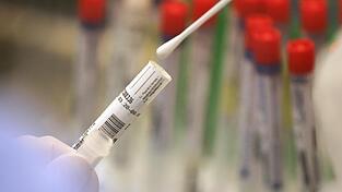 . Bei einem Reiserückkehrer aus Südafrika seien mehrere für Omikron typische Mutationen gefunden worden. (Symbolbild) . Bei einem Reiserückkehrer aus Südafrika seien mehrere für Omikron typische Mutationen gefunden worden. (Symbolbild)