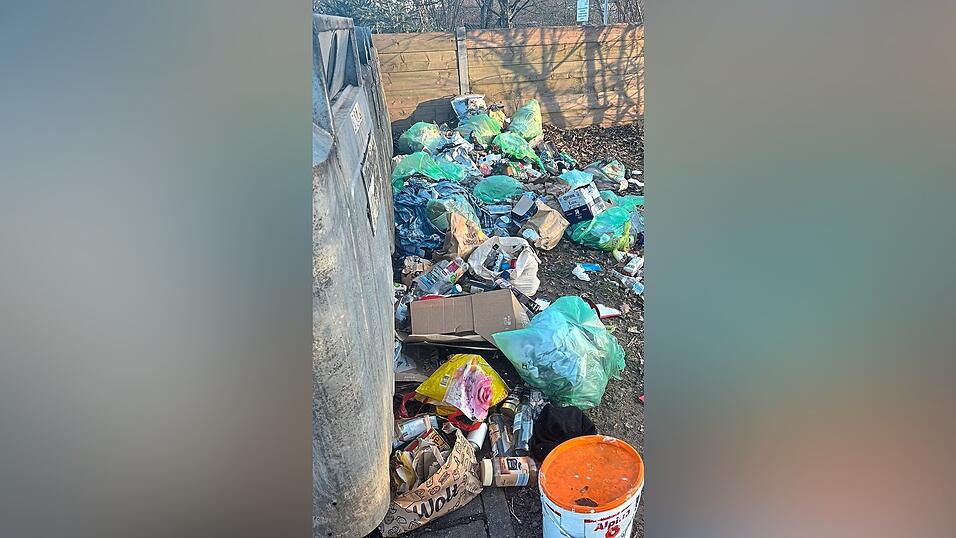 Illegale M&uuml;llablagerung an einem Container.