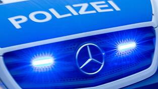 Im Fußraum des Autos fand die Polizei einen Karton mit den zwei Welpen. (Symbolbild) Im Fußraum des Autos fand die Polizei einen Karton mit den zwei Welpen. (Symbolbild)