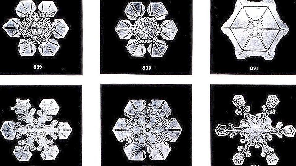 So unterschiedlich k&ouml;nnen die Eiskristalle aussehen, aus denen sich Schnee zusammensetzt.