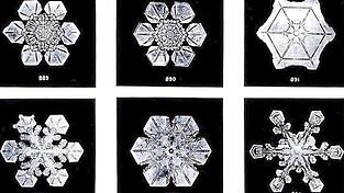 So unterschiedlich k&ouml;nnen die Eiskristalle aussehen, aus denen sich Schnee zusammensetzt.