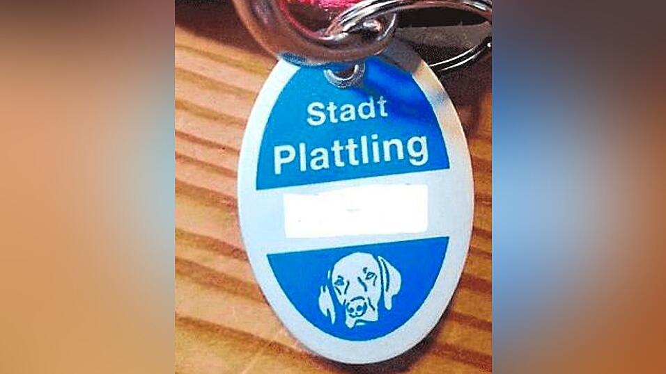 Ob der Hund seine Steuermarke trägt, die beweist, dass er ordnungsgemäß gemeldet ist, darf die Sicherheitswacht kontrollieren. Ob der Hund seine Steuermarke trägt, die beweist, dass er ordnungsgemäß gemeldet ist, darf die Sicherheitswacht kontrollieren.