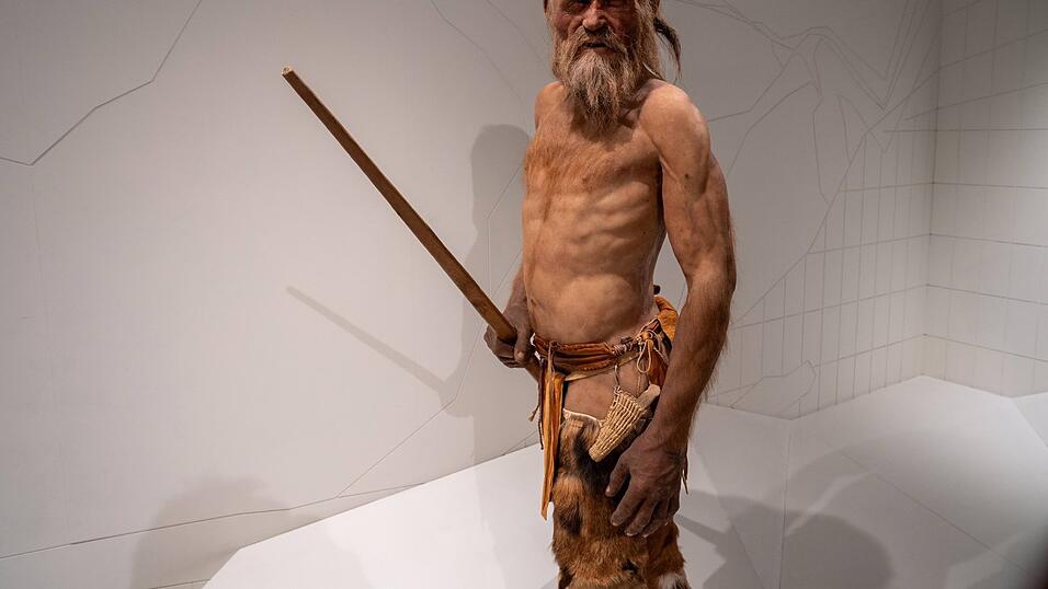 Eine Nachbildung der &Ouml;tzi genannten jungsteinzeitlichen Gletschermumie im S&uuml;dtiroler Arch&auml;ologiemuseum in Bozen. &Ouml;tzi hatte neben Werkzeug auch ein St&uuml;ck Birkenporling dabei. Dem Pilz werden verschiedene Heilwirkungen nachgesagt.