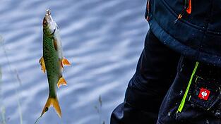 Der Angeklagte habe alle Fische - bis auf einen - zur&uuml;ck ins Wasser geworfen.