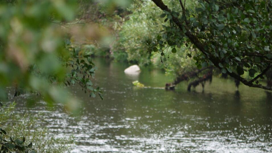 Wunderschönes Ausflugsziel in Passau: die Halser Ilzschleifen. Wunderschönes Ausflugsziel in Passau: die Halser Ilzschleifen.