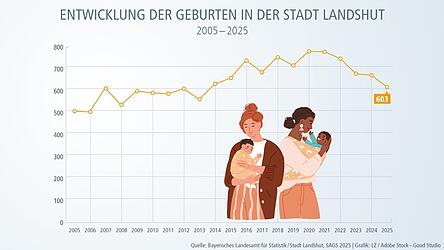 In den 2010er Jahren sind die Geburten immer weiter gestiegen - mit einem H&ouml;chststand 2021 von 764 Geburten. F&uuml;r 2025 gehen die Hochrechnungen von nur rund 600 Geburten aus.