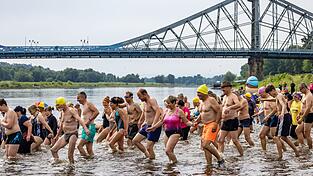 Hunderten Menschen machen beim Elbeschwimmen mit.