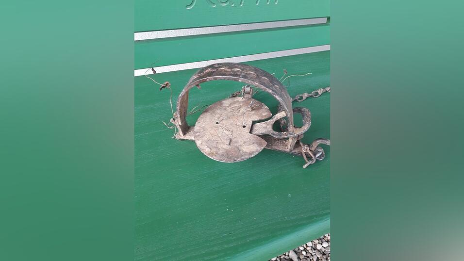 Das ist die illegale Bärenfalle, die Katze 'Luna' zum Verhängnis wurde. Das ist die illegale Bärenfalle, die Katze 'Luna' zum Verhängnis wurde.