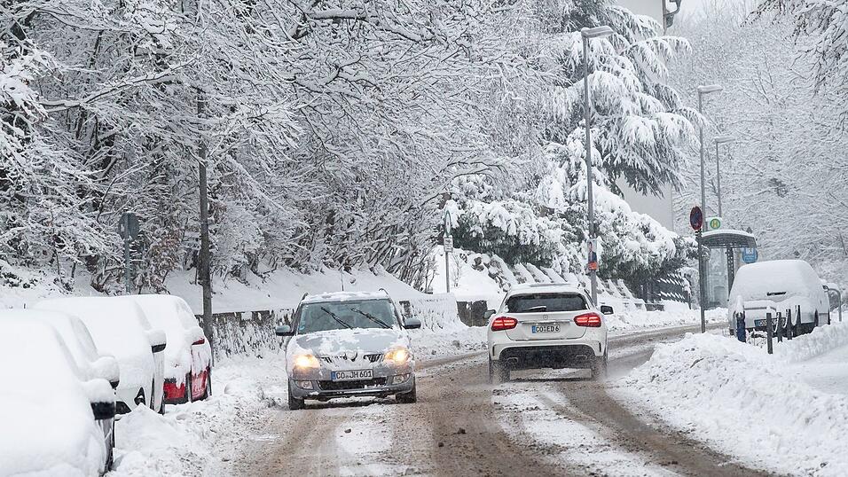 Das Winterwetter in Franken hat viele Auswirkungen - B&auml;ume, die unter der Schneelast zusammenbrechen, f&uuml;hren beispielsweise zu Stromausf&auml;llen. (Symbolbild)