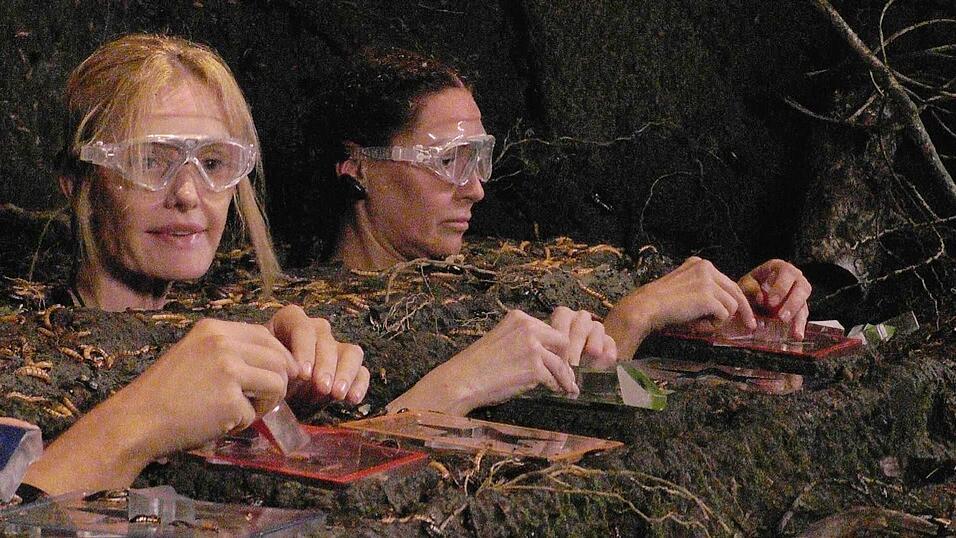 Mirja du Mont scheiterte am Puzzle, Simone Ballack nicht. (Archivbild) Mirja du Mont scheiterte am Puzzle, Simone Ballack nicht. (Archivbild)