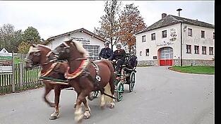 Mit Traurigs Pferden und der alten Feuerwehrspritze geht's auf Festplatzsuche.