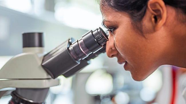 Anfang September wurden bei Untersuchungen zwei weitere Listerien-Fälle in Ostbayern bekannt. Die Zahl der Fälle steigt damit auf 15. Anfang September wurden bei Untersuchungen zwei weitere Listerien-Fälle in Ostbayern bekannt. Die Zahl der Fälle steigt damit auf 15.