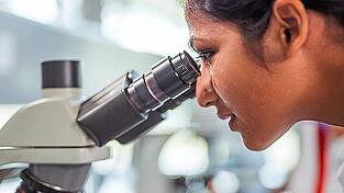 Anfang September wurden bei Untersuchungen zwei weitere Listerien-Fälle in Ostbayern bekannt. Die Zahl der Fälle steigt damit auf 15.