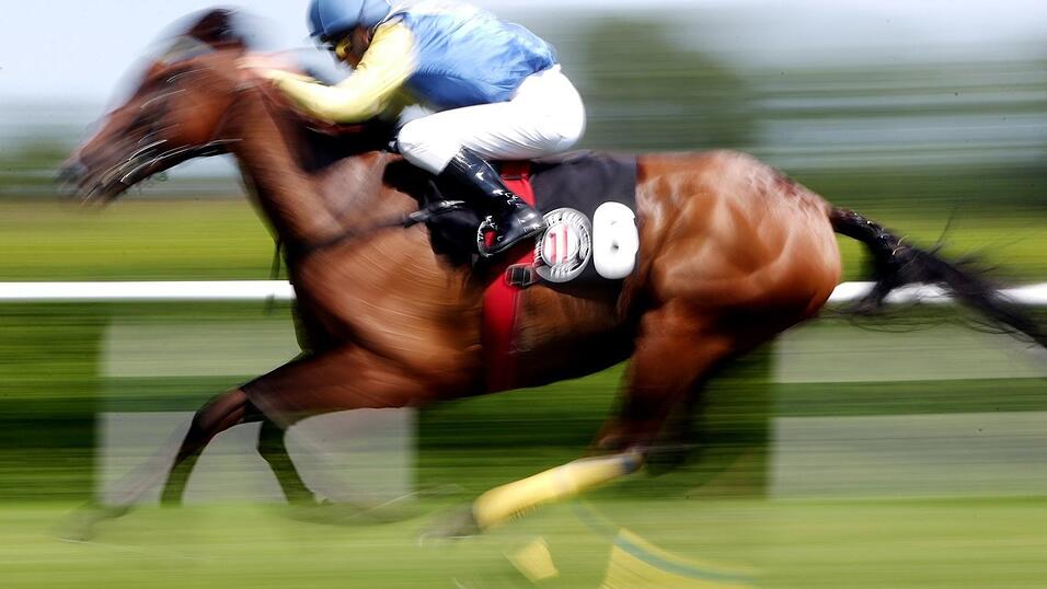 In einer Suppenk&uuml;che findet ein Gast in seinem Essen den Mikrochip eines ehemaligen Rennpferdes. (Symbolfoto)