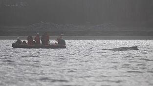 Der Wal soll jetzt in Ruhe gelassen werden - aber schafft er es aus eigener Kraft?