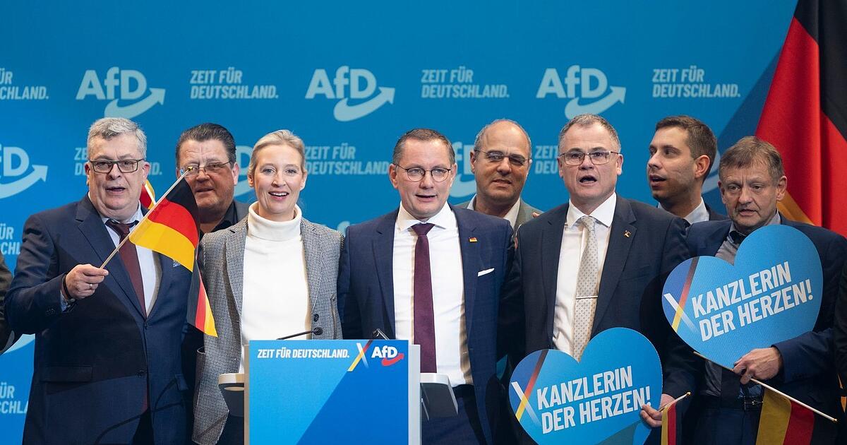 Fokus auf AfD-Mitarbeiter mit familiärem Hintergrund - Idowa