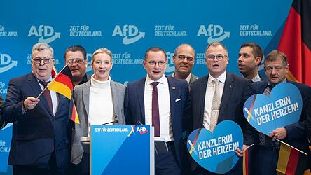 Der Bundesvorstand der AfD möchte sich am Montagabend mit den internen Vorwürfen gegen führende Funktionäre der AfD-Niedersachsen beschäftigen. (Archivfoto) Der Bundesvorstand der AfD möchte sich am Montagabend mit den internen Vorwürfen gegen führende Funktionäre der AfD-Niedersachsen beschäftigen. (Archivfoto)
