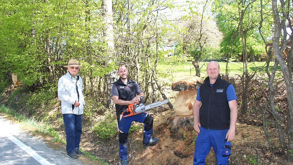 Grundst&uuml;cksbesitzer Rudi Berngehrer war gar nicht daheim, als Josef Zwickenpflug die Baumst&uuml;mpfe an seiner B&ouml;schung so kreativ umgestaltet hat. &bdquo;Angestiftet&ldquo; dazu hat ihn sein Bruder Franz (von links).