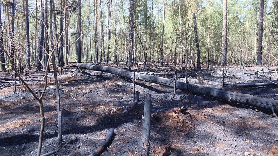 Auf einer Fl&auml;che von knapp 1,2 Hektar hatte sich der Waldbrand am Mittwochabend ausgebreitet. Das Feuer war zwar z&uuml;gig unter Kontrolle, die L&ouml;scharbeiten auf dem trockenen Waldboden dauerten jedoch bis in die fr&uuml;hen Morgenstunden und auch den ganzen Donnerstag &uuml;ber noch an.
