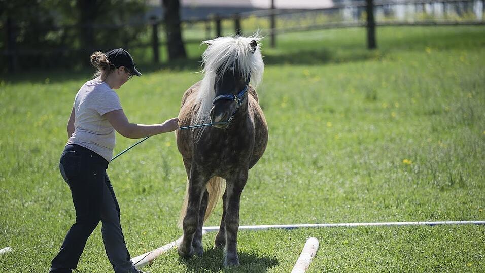 Impressionen vom Orientierungsritt. Impressionen vom Orientierungsritt.