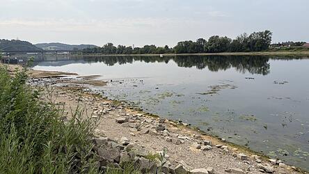 Die durch das Niedrigwasser der Donau eingeschränkte Schifffahrt macht sich auch im Hafen deutlich bemerkbar. Die durch das Niedrigwasser der Donau eingeschränkte Schifffahrt macht sich auch im Hafen deutlich bemerkbar.