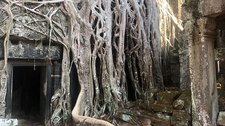 Mein Rückblick auf Kambodscha: Ich genoss traumhafte Strände und war bei einer ganz besonderen Sehenswürdigkeit – Angkor Wat, die wohl größte Tempelanlage der Welt.