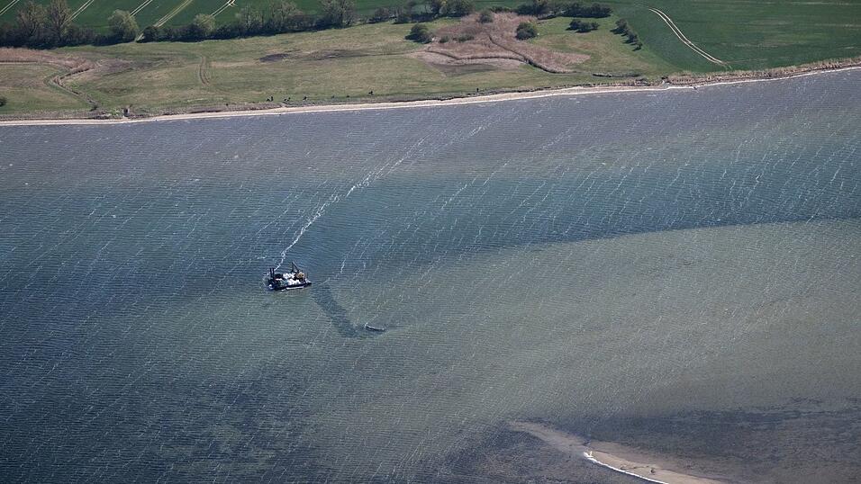 Der Wal liegt nun schon viele Wochen in Flachwasser-Bereichen. Der Wal liegt nun schon viele Wochen in Flachwasser-Bereichen.