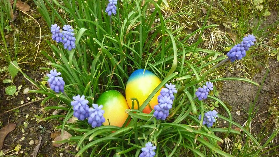 Alles gr&uuml;nt und bl&uuml;ht - da hat man die Ostereier gut im Garten verstecken k&ouml;nnen.