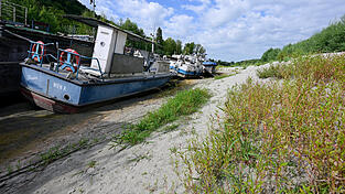 Besonders die Donau ist von der Tockenheit betroffen. Besonders die Donau ist von der Tockenheit betroffen.