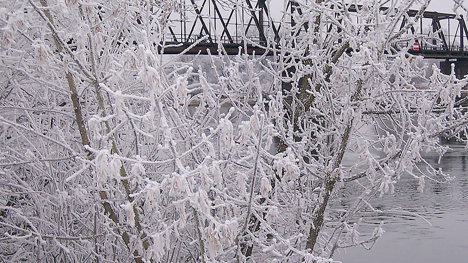 Das winterliche Foto von der Donau mit der Bogener Eisenbahnbr&uuml;cke ist wundersch&ouml;n. Die Tatsache, dass auf der Br&uuml;cke jemand mit dem Rad f&auml;hrt und so sein Leben in Gefahr bringt, ist es nicht.