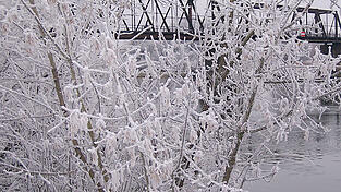 Das winterliche Foto von der Donau mit der Bogener Eisenbahnbr&uuml;cke ist wundersch&ouml;n. Die Tatsache, dass auf der Br&uuml;cke jemand mit dem Rad f&auml;hrt und so sein Leben in Gefahr bringt, ist es nicht.