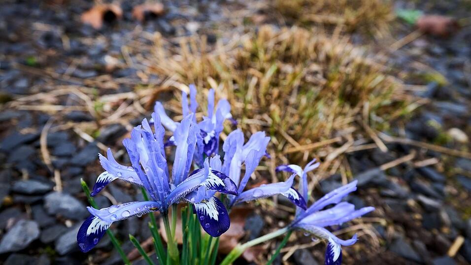Die Temperaturen klettern in den n&auml;chsten Tagen in die H&ouml;he.