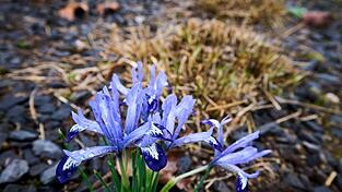 Die Temperaturen klettern in den n&auml;chsten Tagen in die H&ouml;he.
