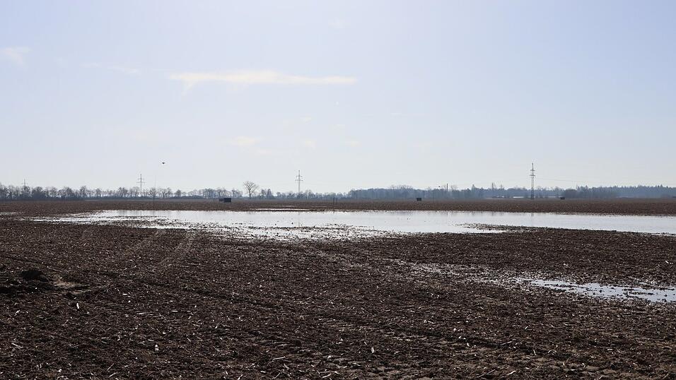 Auf diesen Ackerflächen soll Deutschlands zweitgrößter Solarpark entstehen. (Archivfoto) Auf diesen Ackerflächen soll Deutschlands zweitgrößter Solarpark entstehen. (Archivfoto)